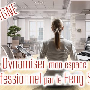 Ma FORMATION : Dynamiser mon Espace Professionnel par le Feng Shui