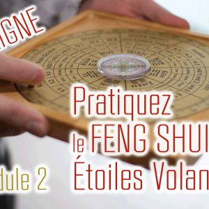 Pratiquer le feng shui des etoiles volantes - En Ligne