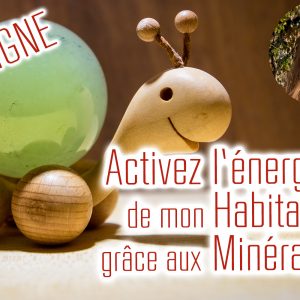 Atelier Habitat et Mineraux En LIGNE