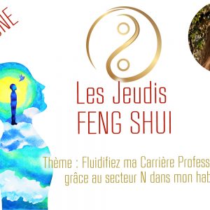 Conférence Feng Shui N CARRIERE