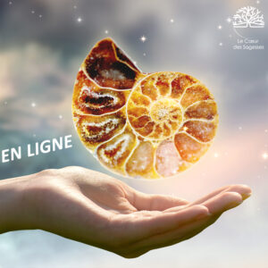 Formation Feng Shui Santé Le Coeur des Sagesses EN LIGNE