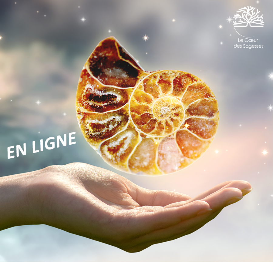 Formation Feng Shui Santé Le Coeur des Sagesses EN LIGNE