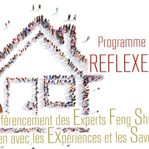 Experts Feng Shui