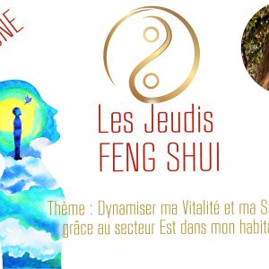 Conference Feng Shui E SANTE
