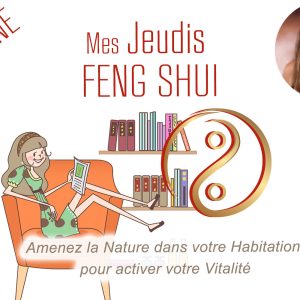 Conference Feng Shui Vitalité