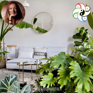 Les plantes et Feng Shui